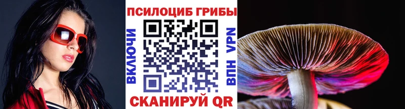 где можно купить наркотик  маркетплейс какой сайт  Галлюциногенные грибы GOLDEN TEACHER  Вытегра 